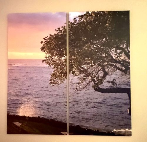 Lot #48 (1 of 5)