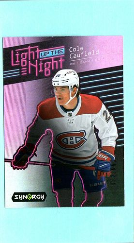 Lot #23 (1 of 2)