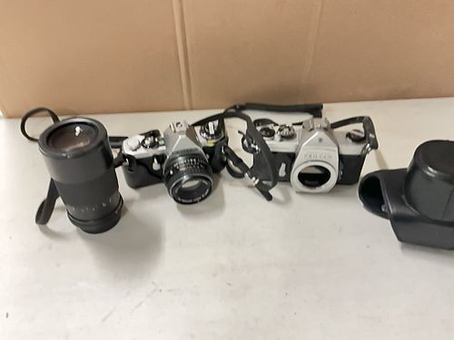 Lot #24 (1 of 5)