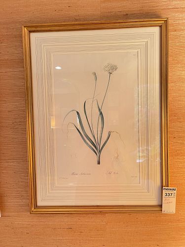 Lot #337 (1 of 11)
