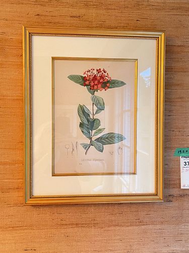 Lot #370 (1 of 13)