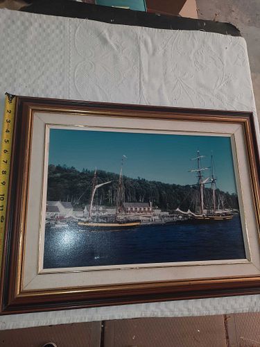 Lot #41 (1 of 8)