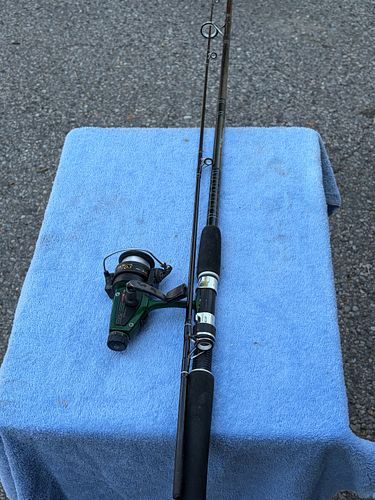 Lot #99 (1 of 3)