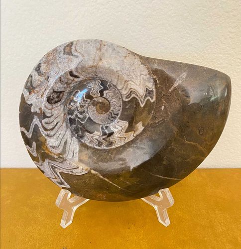 Lot #27 (1 of 10)