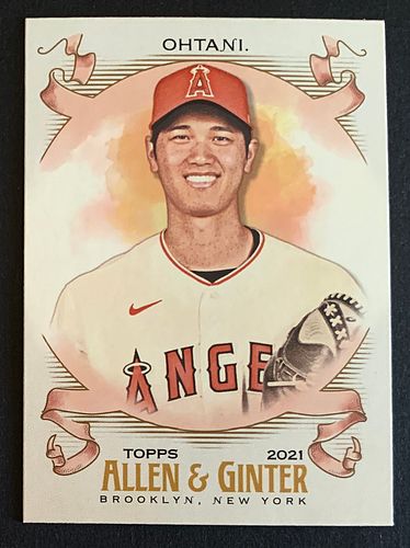 Lot #5 (1 of 2)