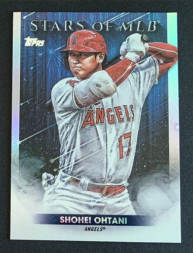 Lot #10 (1 of 3)