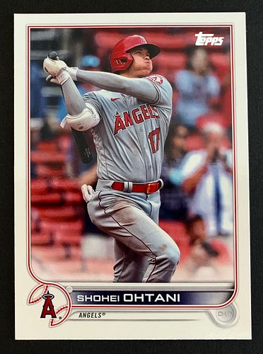 Lot #11 (1 of 2)