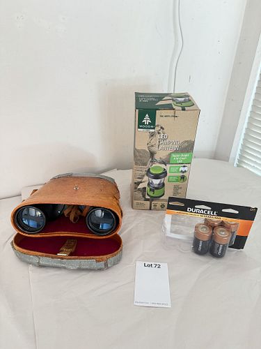 Lot #72 (1 of 17)