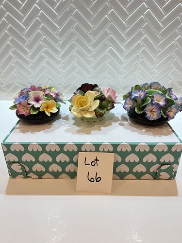 Lot #66 (1 of 12)