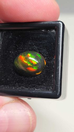 Lot #11 (1 of 12)