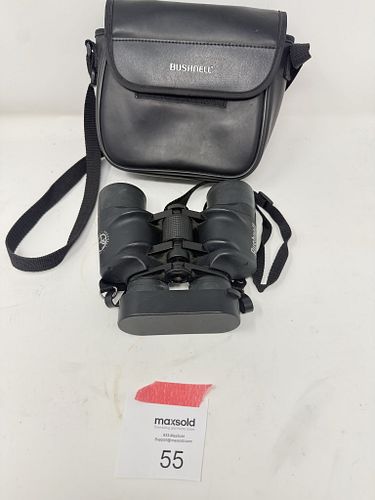 Lot #55 (1 of 9)