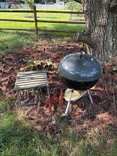 Lot #159 (1 of 8)