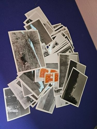 Lot #36 (1 of 4)