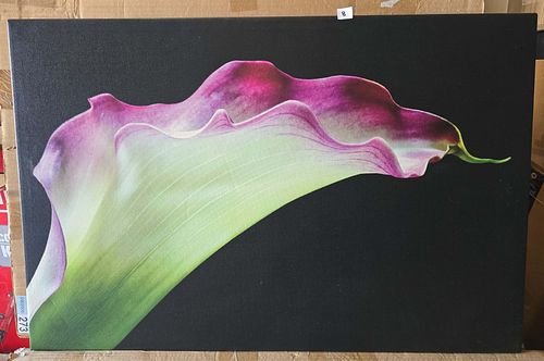 Lot #8 (1 of 1)