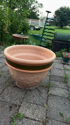 Lot #321 (1 of 6)