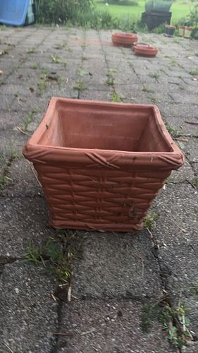 Lot #326 (1 of 6)