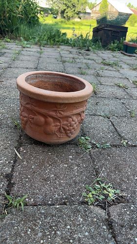 Lot #362 (1 of 6)