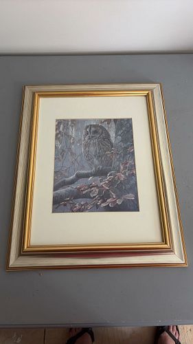 Lot #396 (1 of 5)