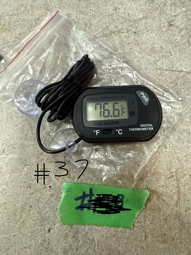 Lot #37 (1 of 2)