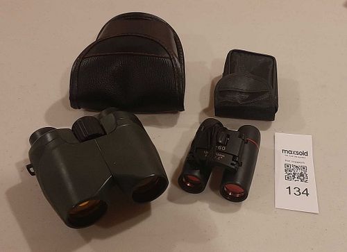 Lot #134 (1 of 11)
