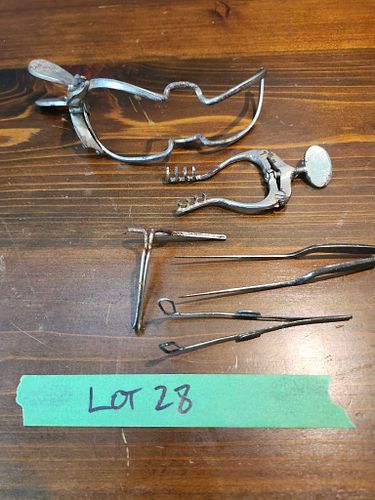 Lot #28 (1 of 7)