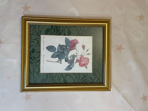 Lot #62 (1 of 3)