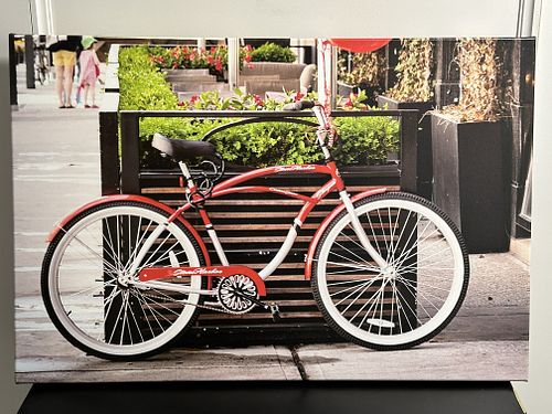 Lot #49 (1 of 1)