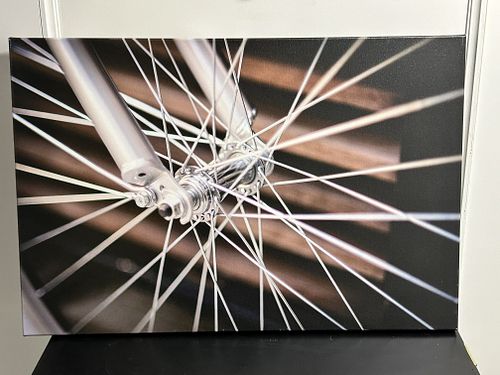 Lot #51 (1 of 1)