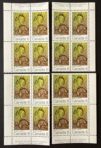 Lot #15 (1 of 5)