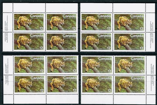 Lot #36 (1 of 5)