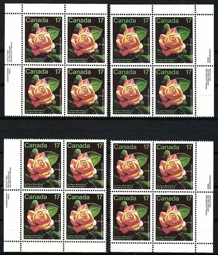 Lot #55 (1 of 5)