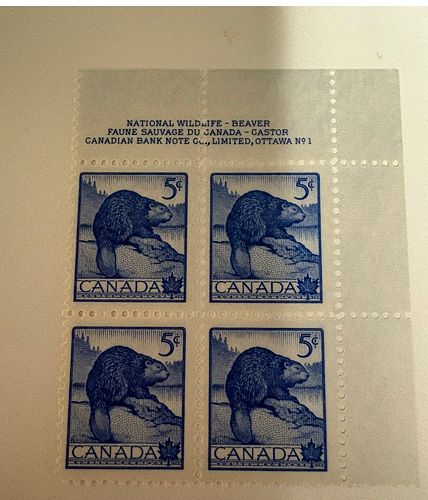 Lot #98 (1 of 3)