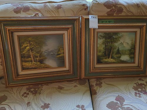 Lot #793 (1 of 10)