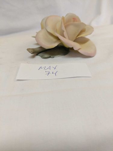 Lot #74 (1 of 5)