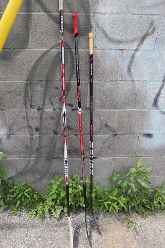 Lot #25 (1 of 10)