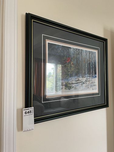 Lot #648 (1 of 12)