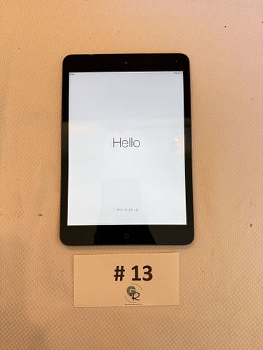 Lot #13 (1 of 10)