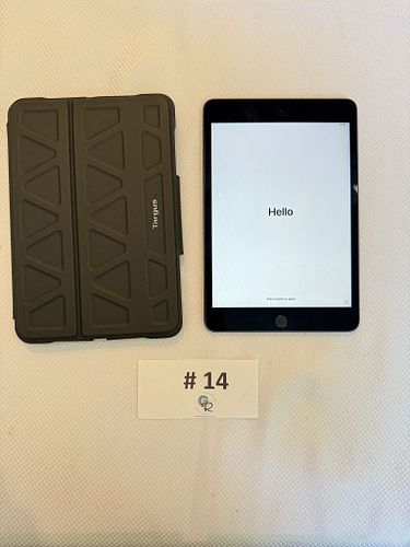 Lot #14 (1 of 12)