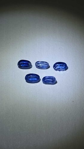 Lot #41 (1 of 10)