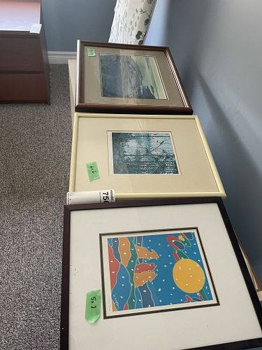Lot #756 (1 of 20)