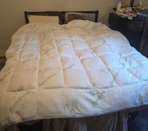 Lot #31 (1 of 3)