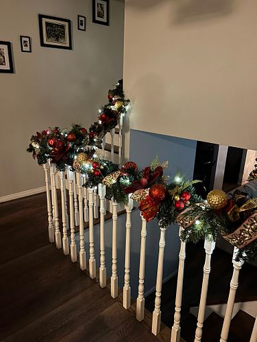 Lot #203 (1 of 7)