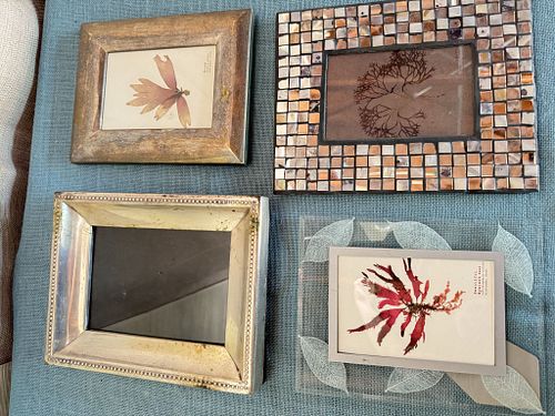Lot #63 (1 of 6)