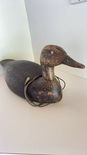 Lot #12 (1 of 5)
