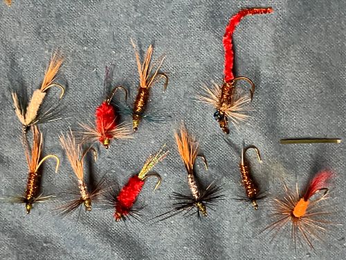 Lot #48 (1 of 3)