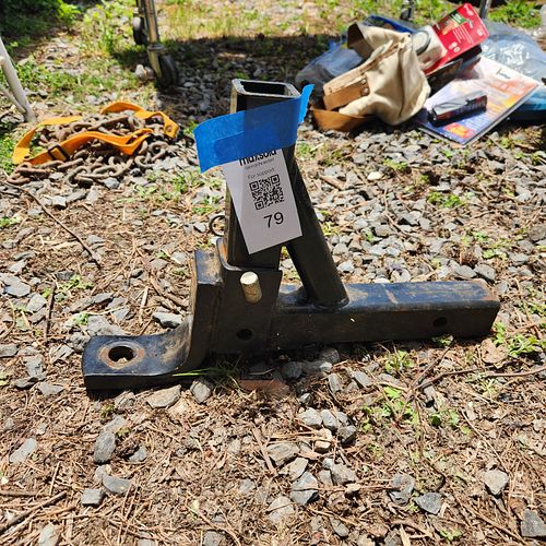 Lot #79 (1 of 4)