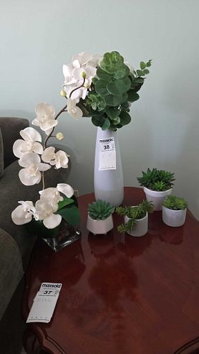 Lot #38 (1 of 11)