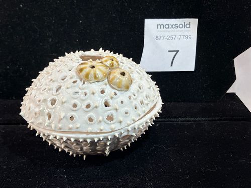 Lot #7 (1 of 6)