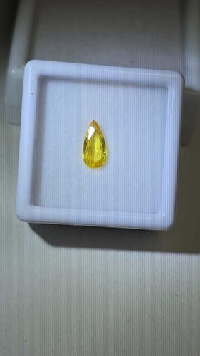 Lot #19 (1 of 13)