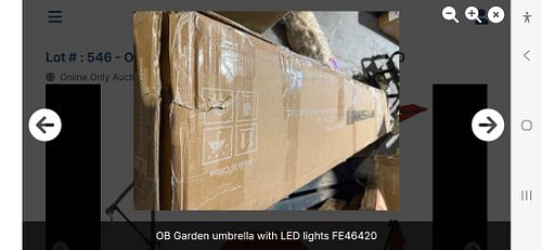 Lot #18 (1 of 3)